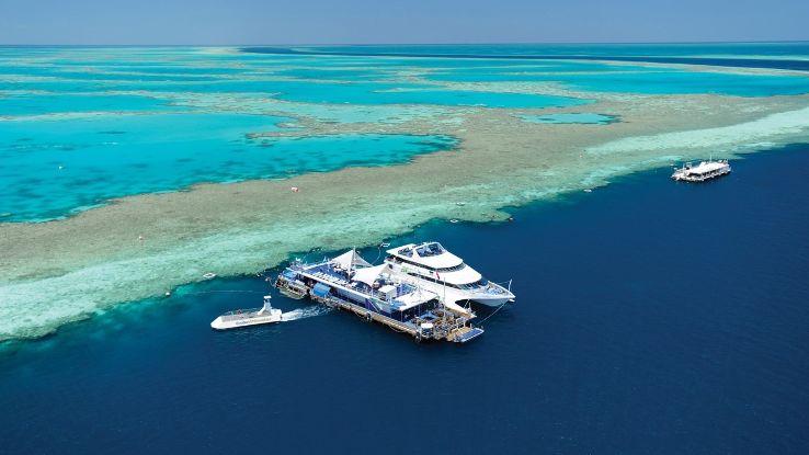 Reefworld Trip Packages