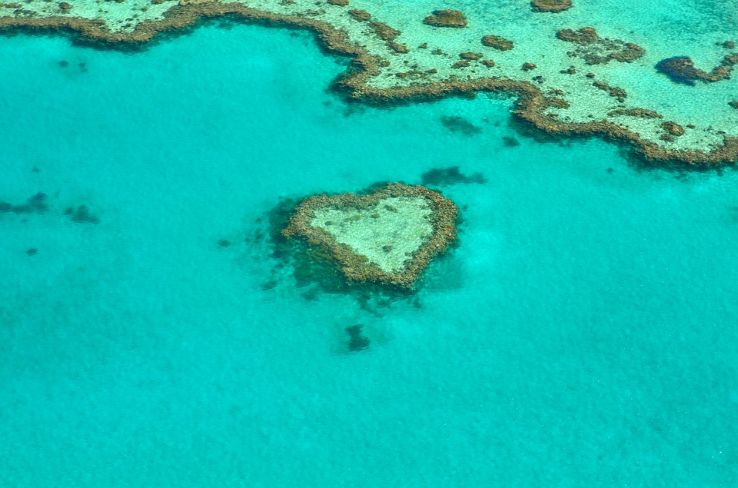 Heart Reef Trip Packages