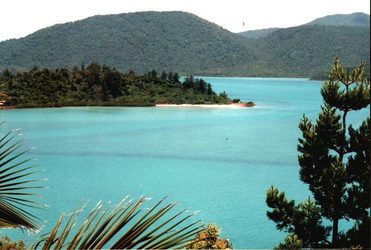 Shute Harbour Trip Packages