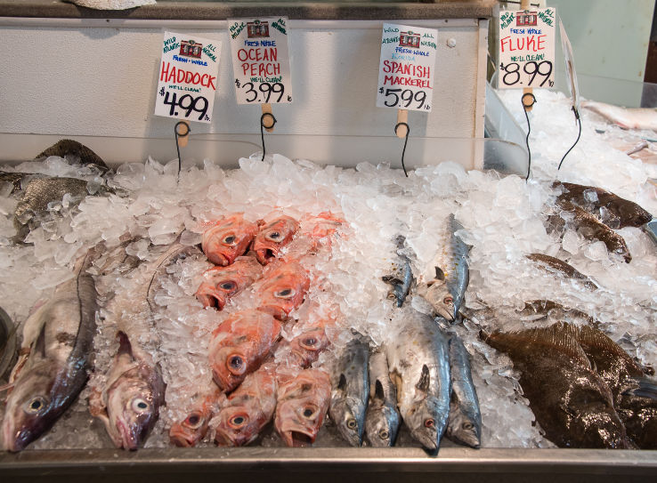 Portland Fish Market Trip Packages