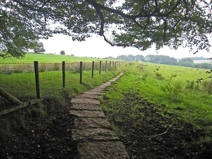 Hadrians Wall Trip Packages