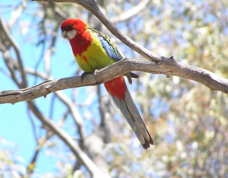 Black Mountain Nature Park Trip Packages