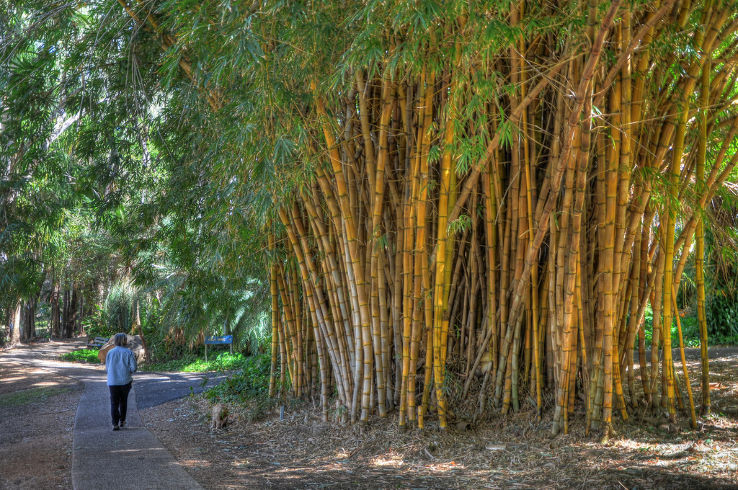 Botanic Gardens Trip Packages