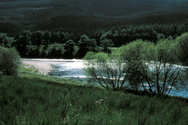 River Tay Trip Packages