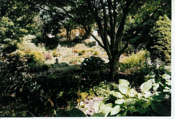 Branklyn Garden  Trip Packages