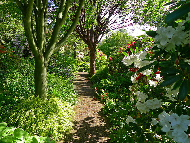 Branklyn Garden  Trip Packages