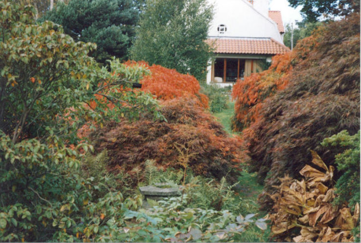 Branklyn Garden  Trip Packages