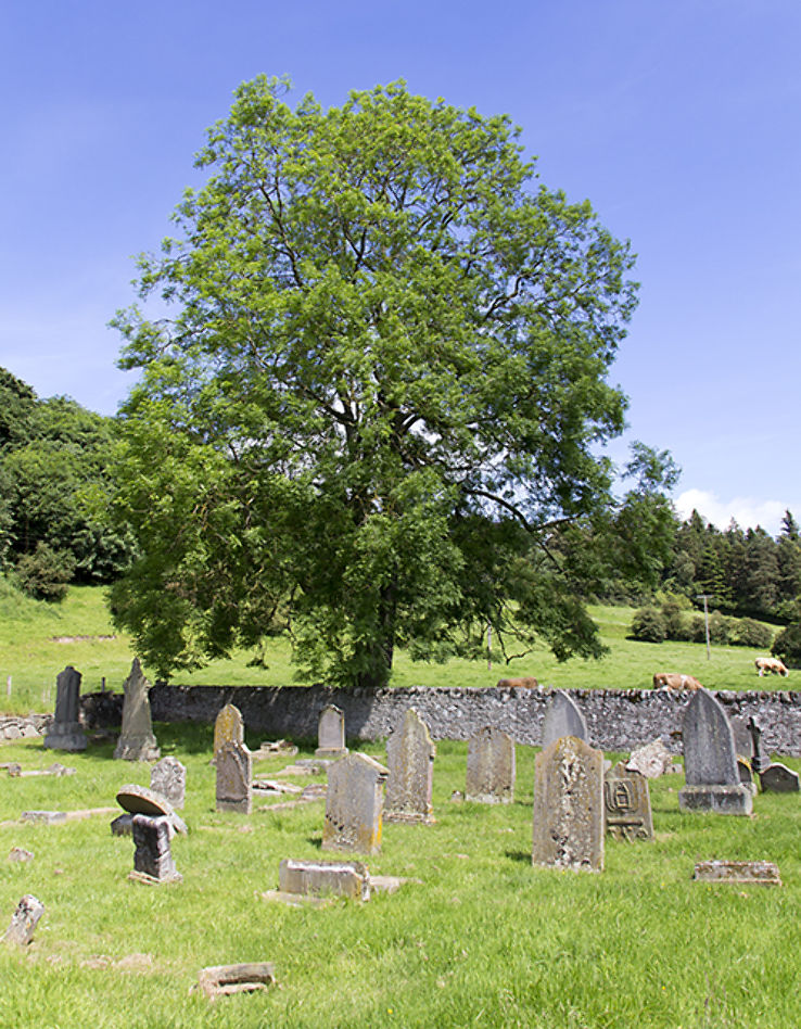 Greyfriars Burial Ground Trip Packages