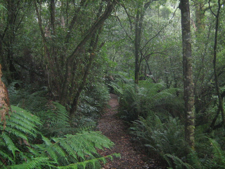 Great Otway National Park Trip Packages