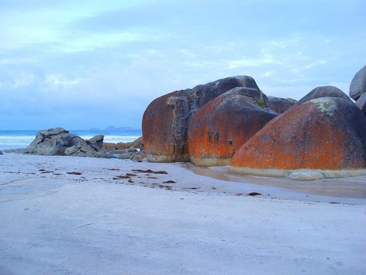 Wilsons Promontory National Park Trip Packages