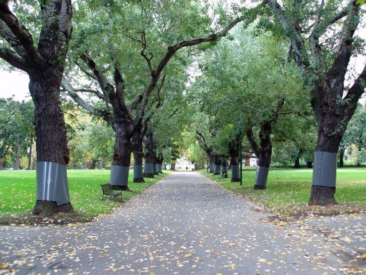 Carlton Gardens Trip Packages