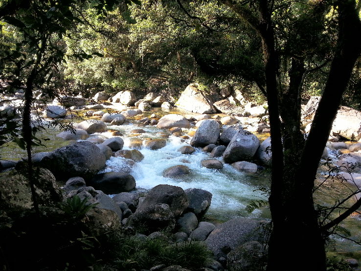 Daintree National Park  Trip Packages