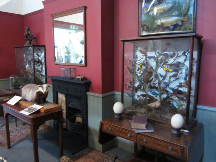 Booth Museum of Natural History Trip Packages