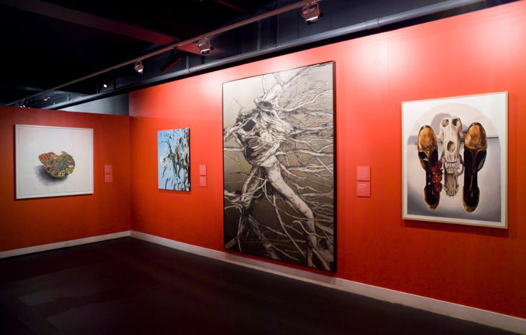 Gippsland Art Gallery Trip Packages