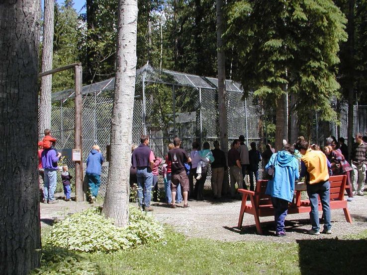 Northern Lights Wildlife Wolf Centre Trip Packages