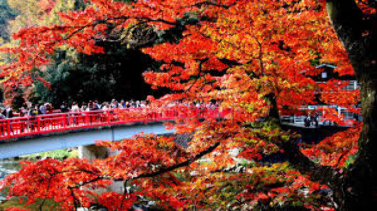 Kosekiji Trip Packages