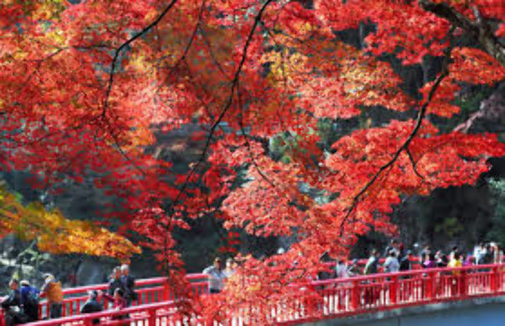 Kosekiji Trip Packages