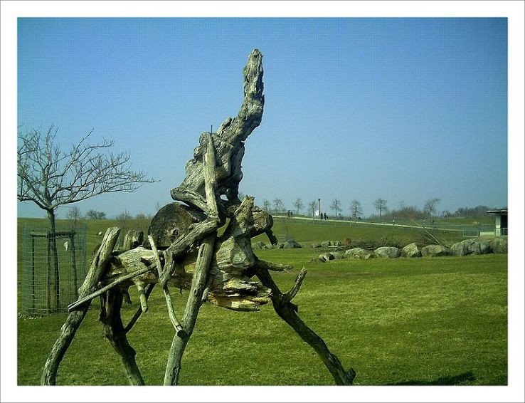 Zoologischer Garten Zoo Trip Packages