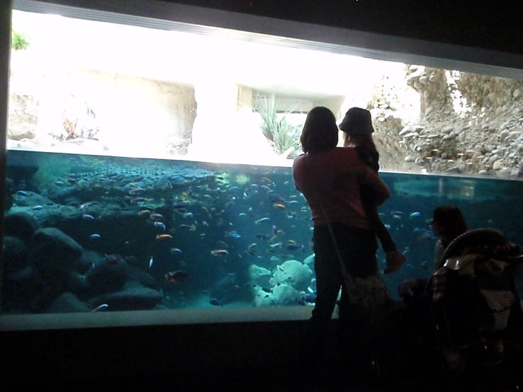 Zoologischer Garten Zoo Trip Packages