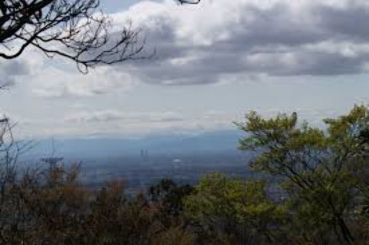 Sanage Shrine Trip Packages