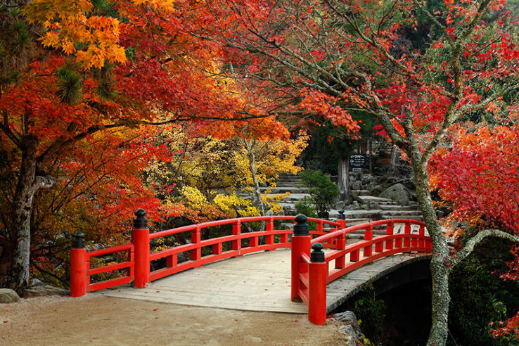 Momijidani Park Trip Packages