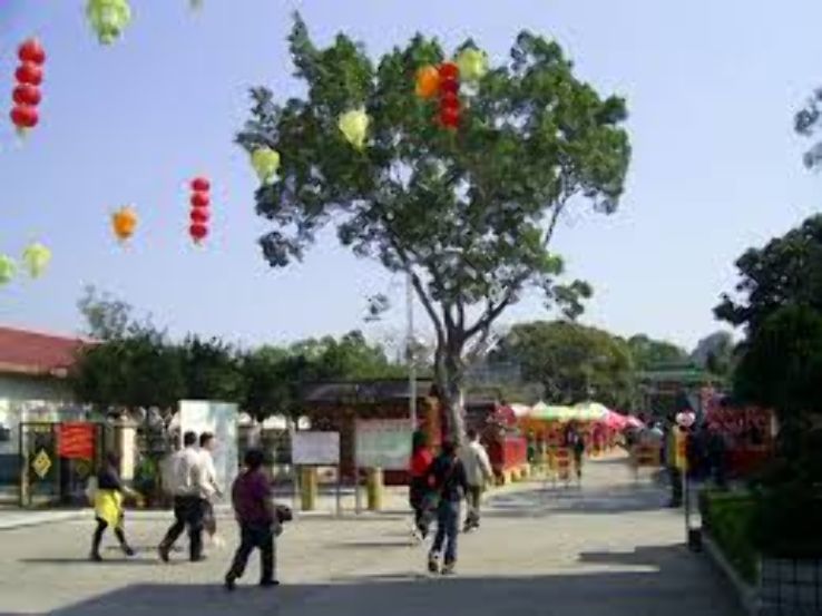 Lam Tsuen Wishing Trees Trip Packages