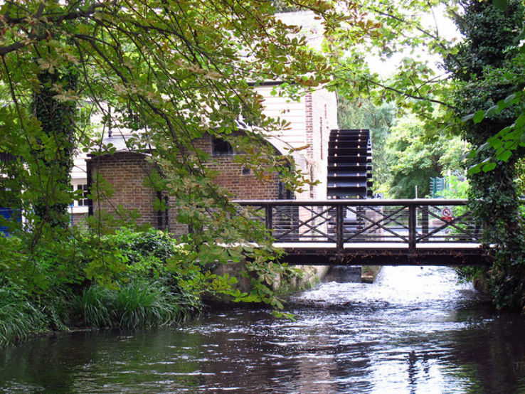 Morden Hall Park Trip Packages