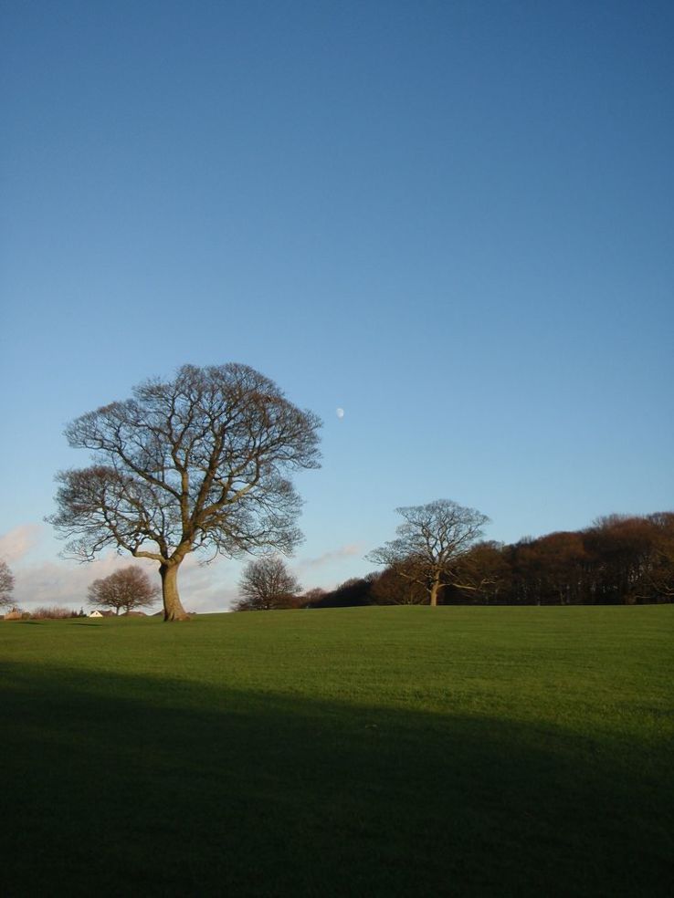 Graves Park Trip Packages