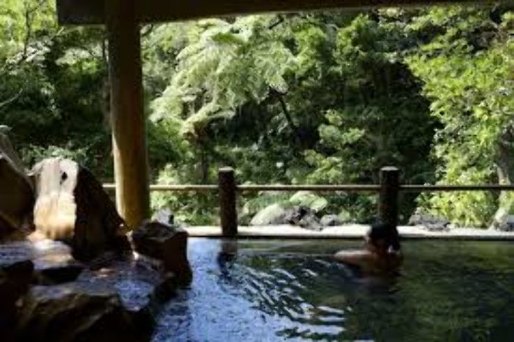 Miharashi Hot Spring Trip Packages