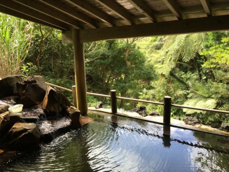 Miharashi Hot Spring Trip Packages