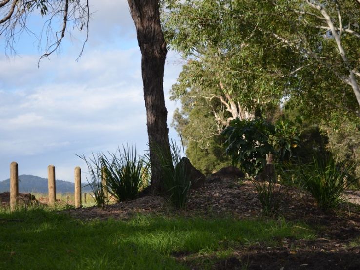 Jabiru Geneebeinga Wetlands Trip Packages