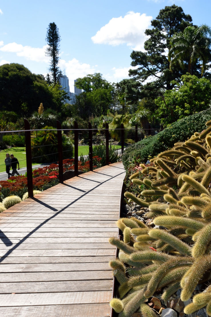 Royal Botanic Gardens Melbourne Trip Packages