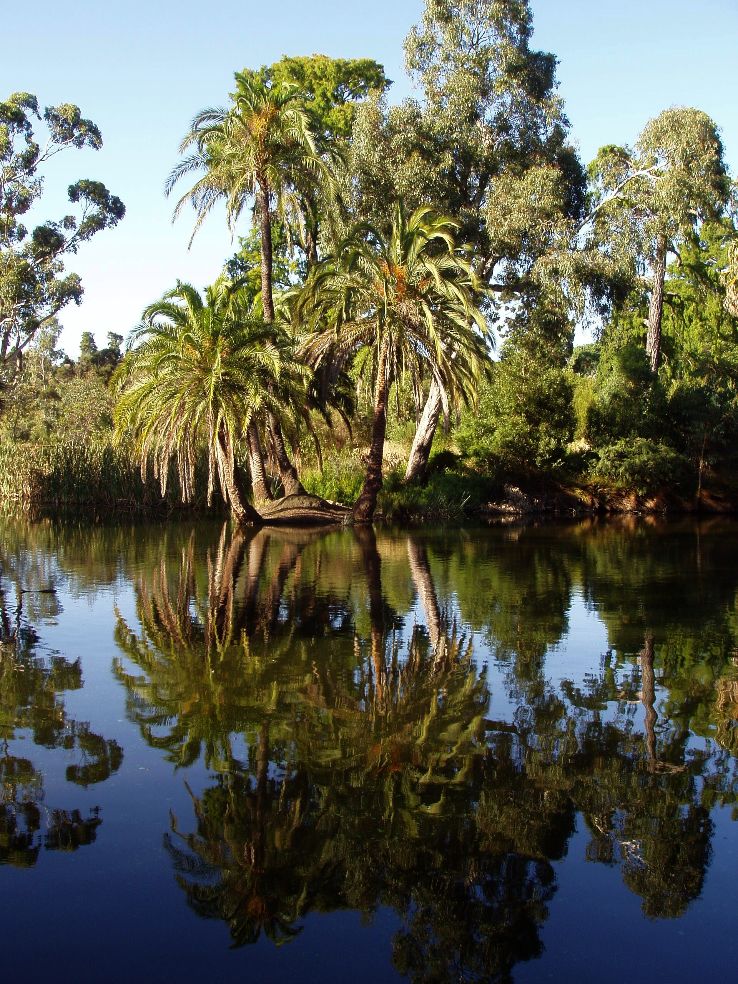 Royal Botanic Gardens Melbourne Trip Packages