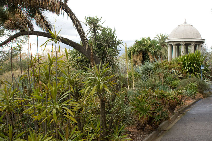 Royal Botanic Gardens Melbourne Trip Packages