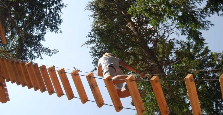 Adventure Park Davos Farich Trip Packages