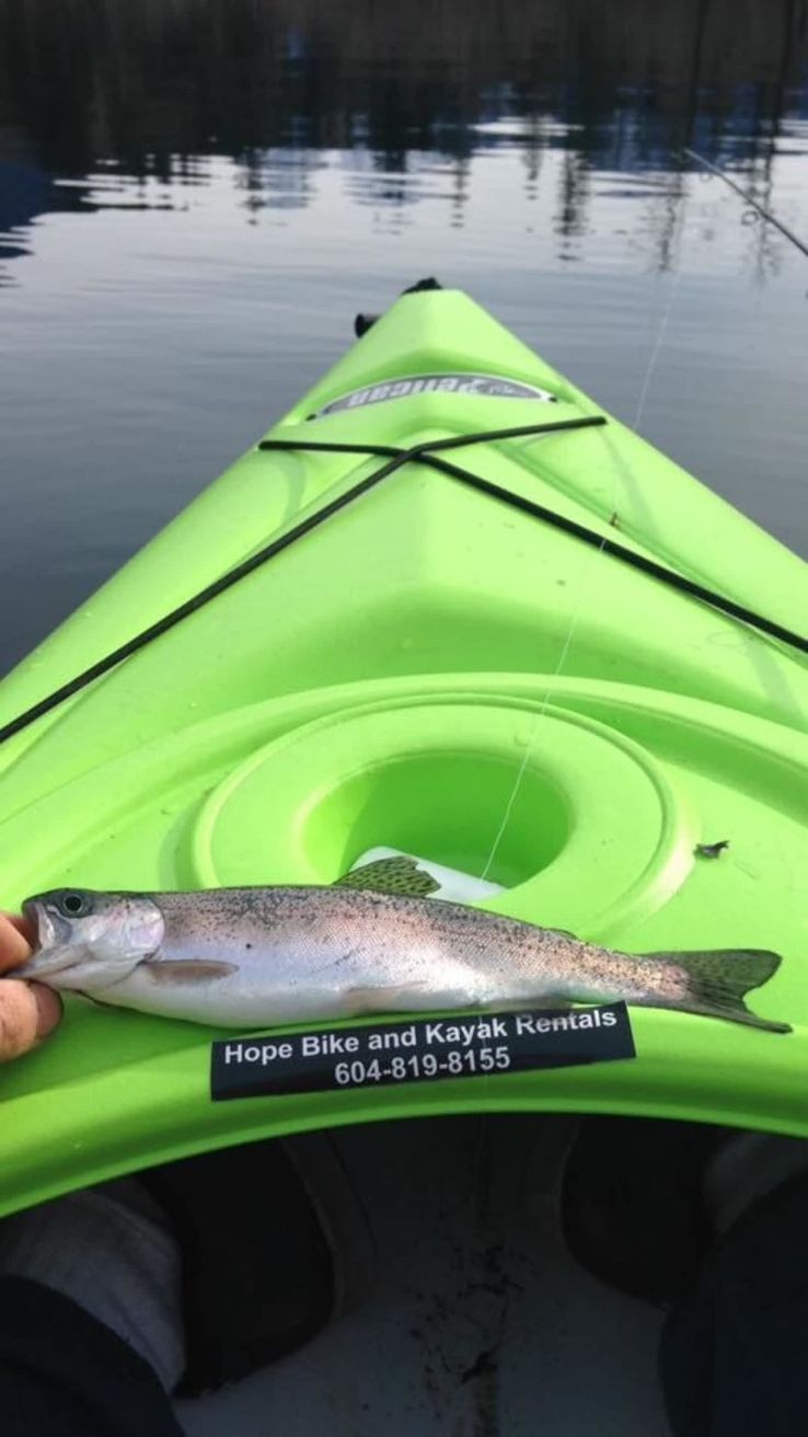 Hope Bike and Kayak Rentals Trip Packages