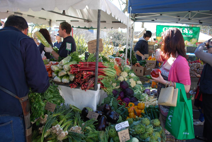 Farmers Market Trip Packages