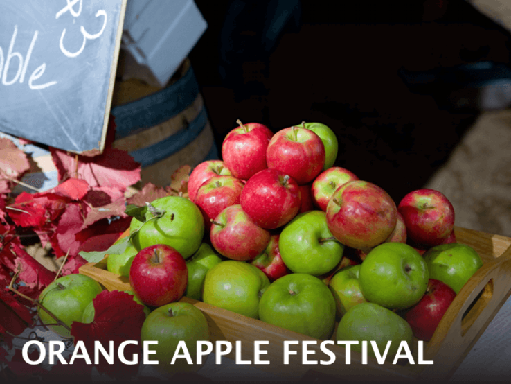 Orange Apple Festival Trip Packages