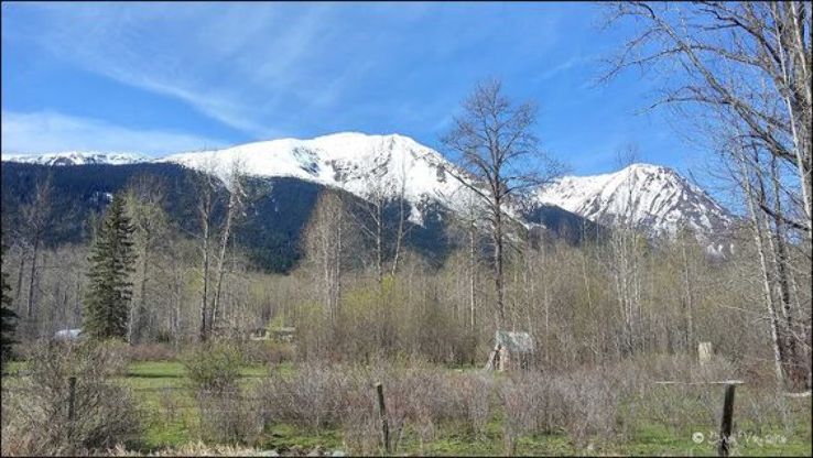 Dunalter/Irrigation Lake Trip Packages