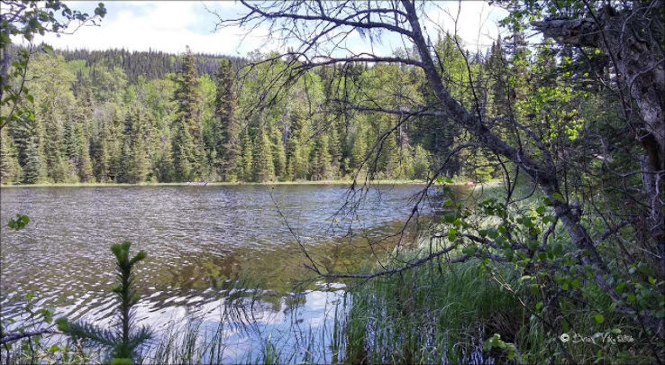 Dunalter/Irrigation Lake Trip Packages