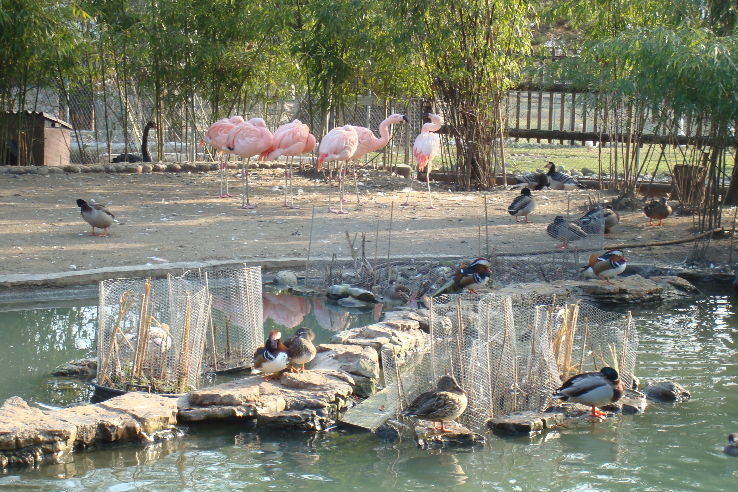 Jardin Botanique Trip Packages