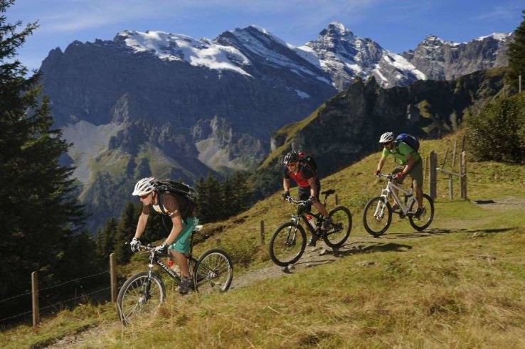 Mountain Biking Grindelwald Trip Packages