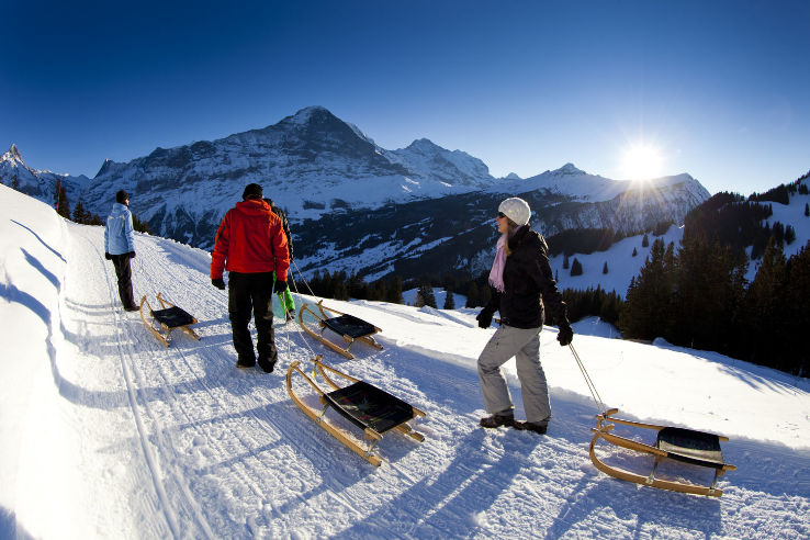 Sledging Trip Packages
