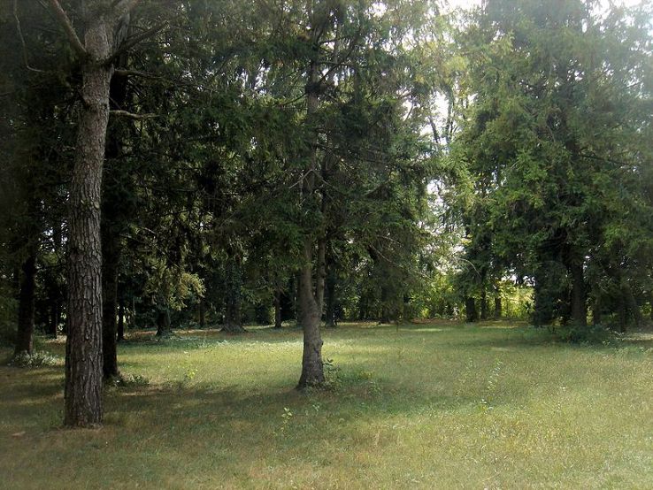 Villa Ferretti-Angeli Trip Packages