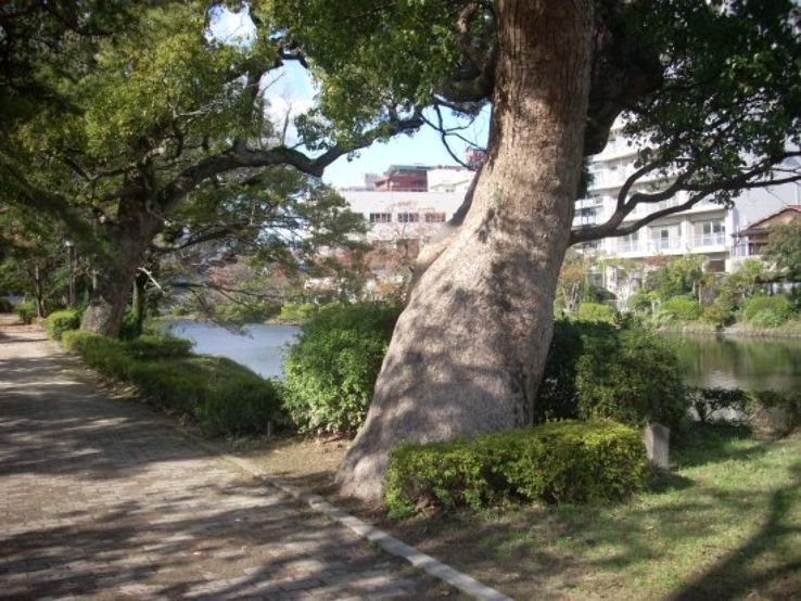 Sagajo Park Trip Packages