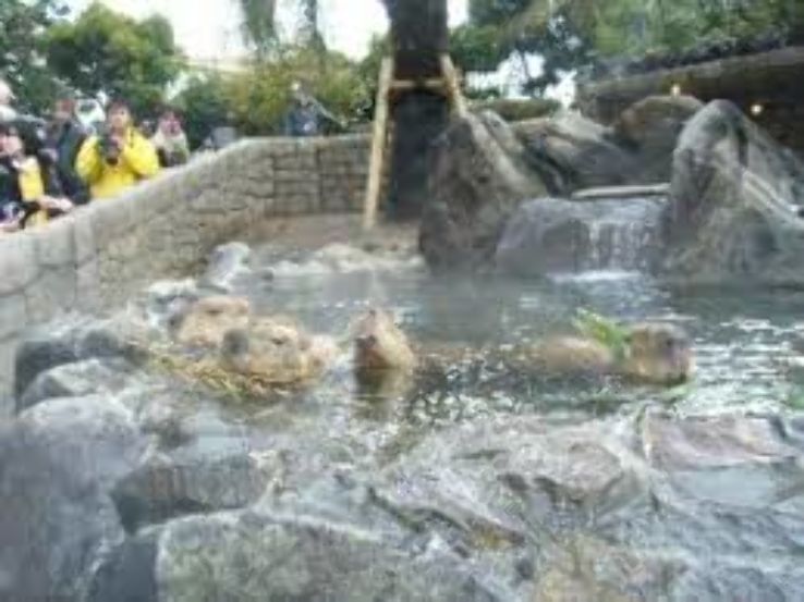  zu Shaboten Zoo Trip Packages