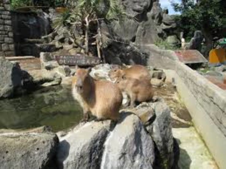  zu Shaboten Zoo Trip Packages