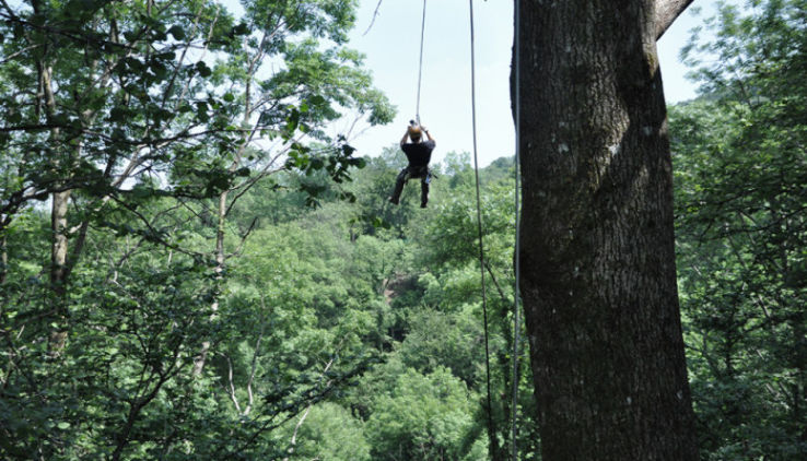 Jungle Raider Park Trip Packages