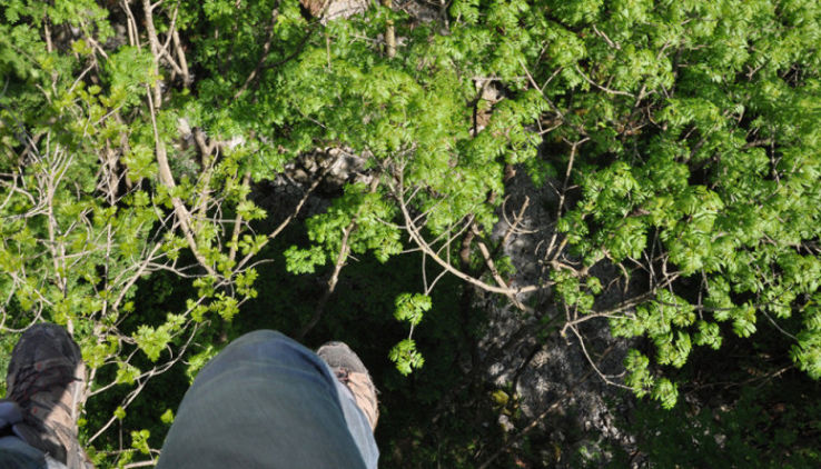 Jungle Raider Park Trip Packages