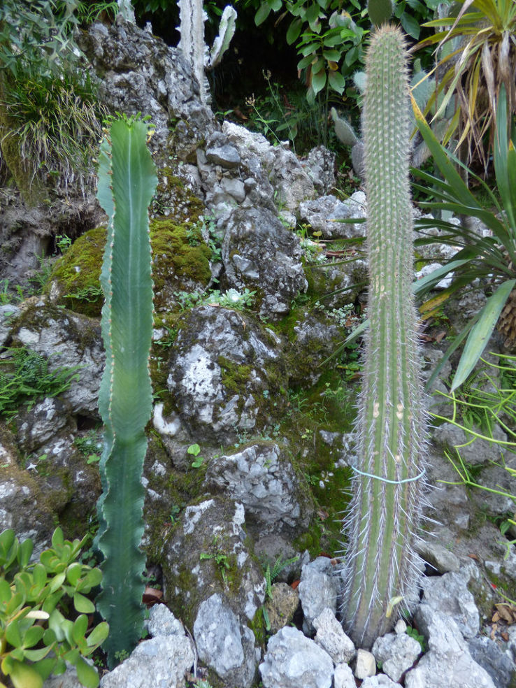 Botanic Gardens in como Trip Packages